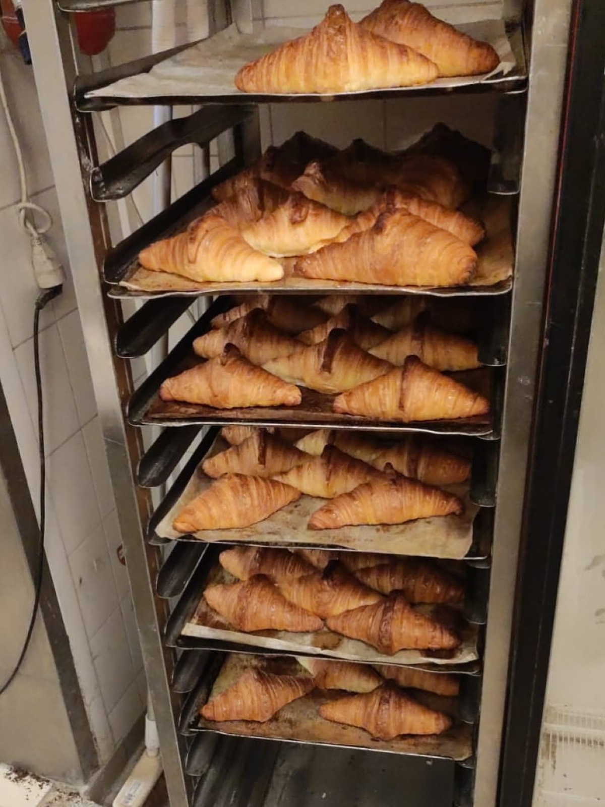 Fournée de croissants pur beurre Tout Autour du Pain sortant du four