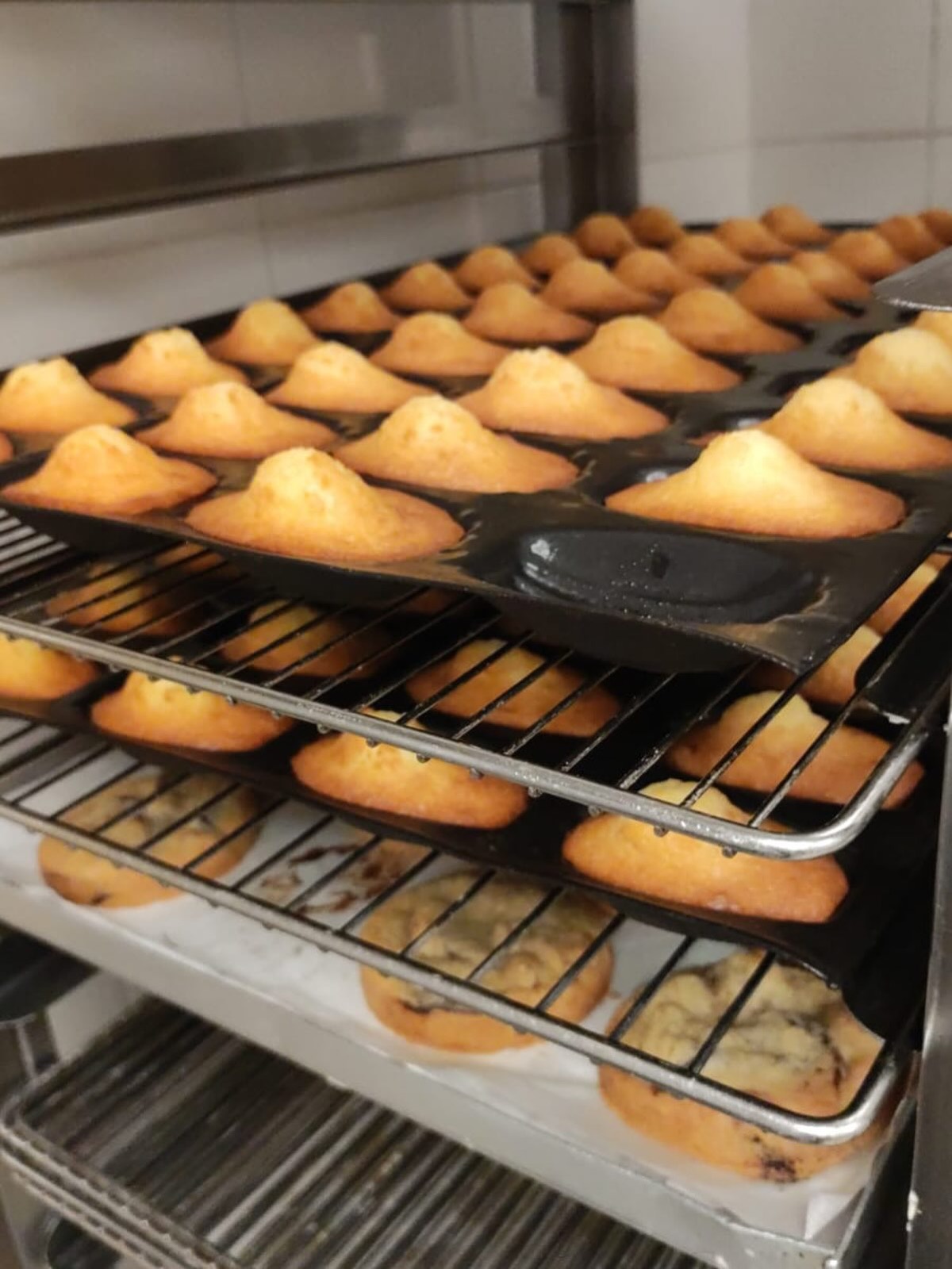 Madeleines et cookies artisanaux sortant du four chez Tout Autour du Pain