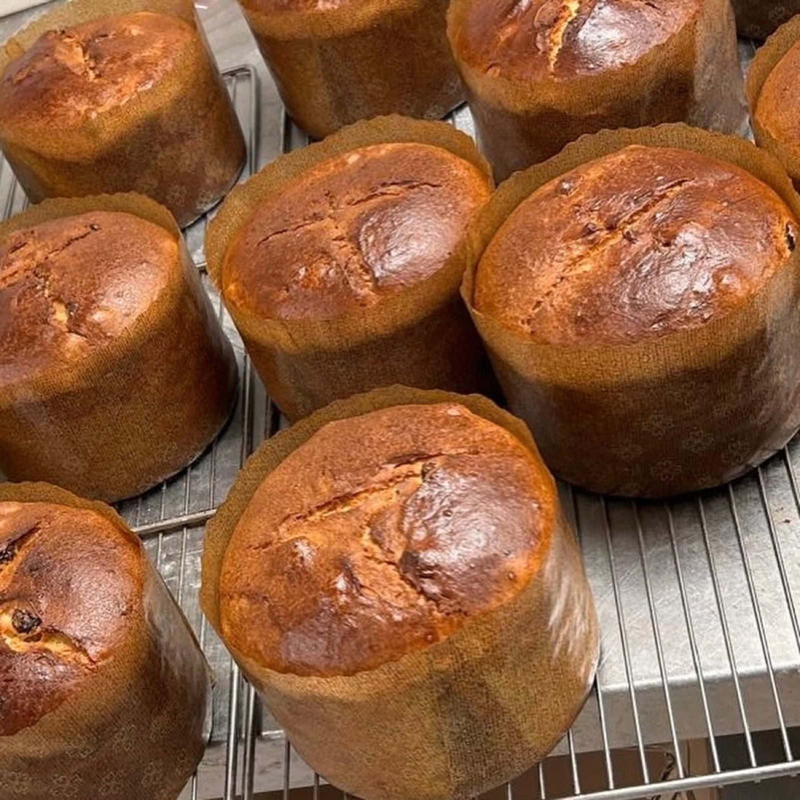 Panettones artisanaux réalisés chez Tout Autour du Pain à Paris 3